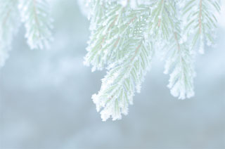 Winter Specials at Aroma Touch